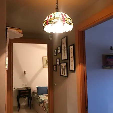 Sanfaina De Gats ديلتيبري