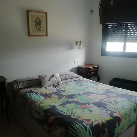 Sanfaina De Gats Deltebre