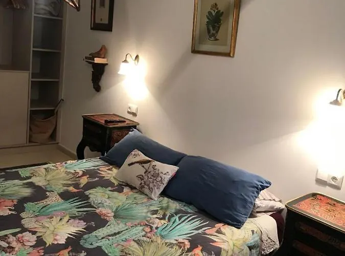 Sanfaina De Gats Deltebre
